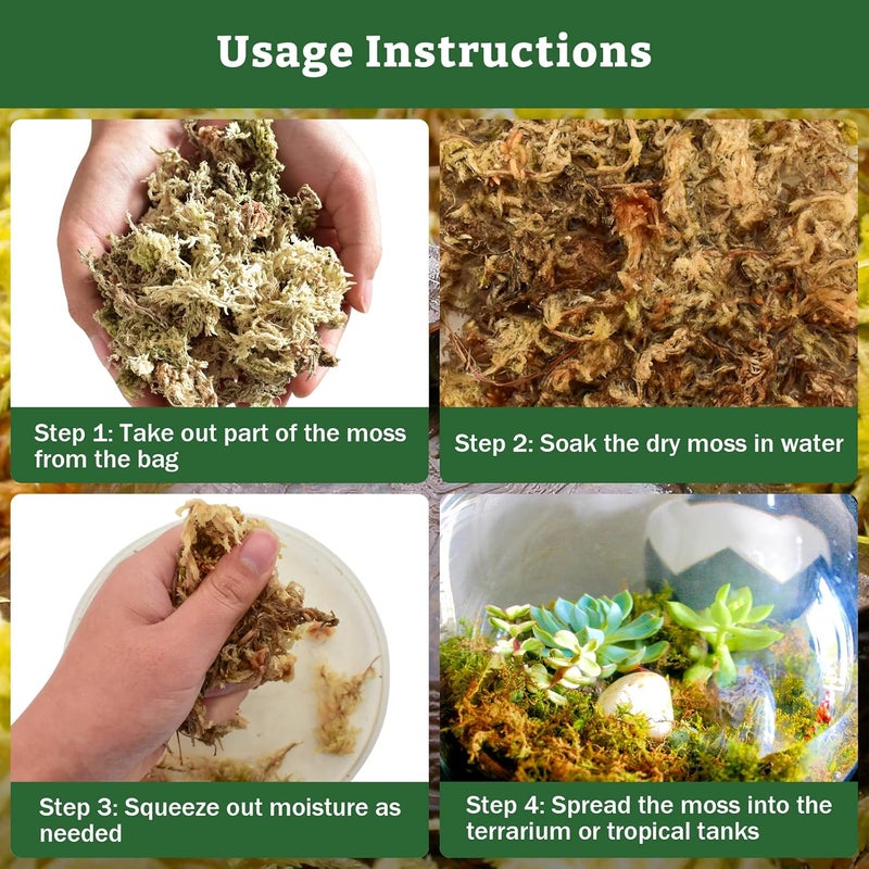 Riare 5.3OZ Premium Sphagnum Moss for Reptiles- 6QT Natural Reptile Moss Dried, Forest Live Moss for Terrarium, Frogs Snake Peat Moss Bedding for Leopard Gecko Turtle Anoles Salamanders Orchids - Image 4